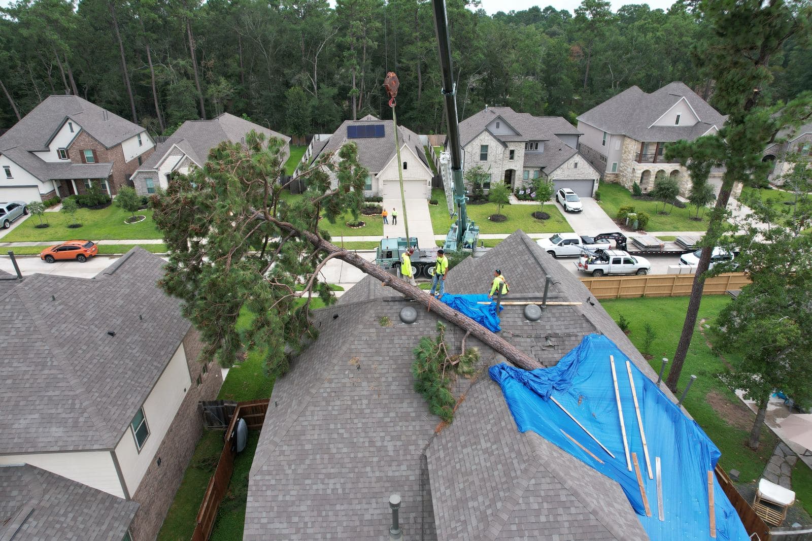 Hurricane Beryl · Tree Removal & Emergency Tarp